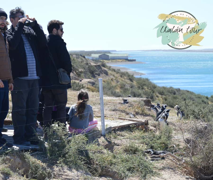 Peninsula Valdes: Shore excursion for cruise passengers - Istmo Carlos Ameghino: where the Southern Right Whale skeleton sets the tone