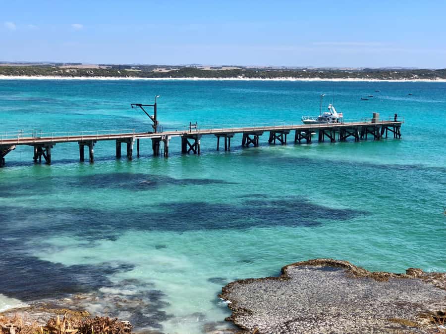 Penneshaw: Shore Excursion Kangaroo Island Scenic Tour - Value, comfort, and who this tour fits best