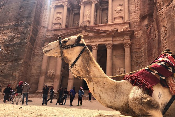 Petra Shore Excursion Aqaba Port - Price and Value: Is $320 Worth It for a Petra Shore Day?
