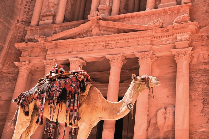Petra Shore Excursion from Aqaba Port - Aqaba Port to Petra: The 12-Hour Day That Keeps You Moving