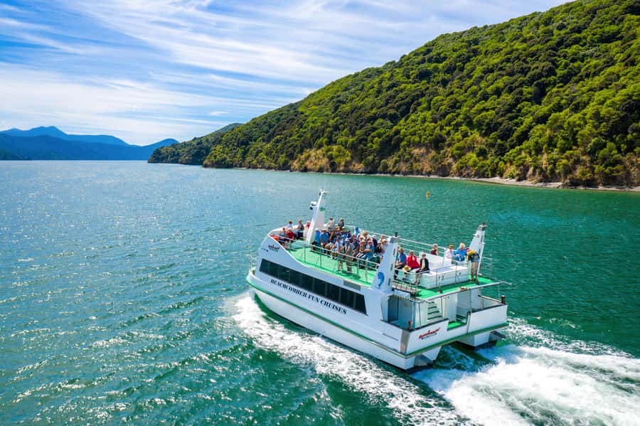 Picton Shore Excursion: Queen Charlotte Sounds Cruise - Meeting Beachcomber Cruises at the Waterfront (and Getting There)