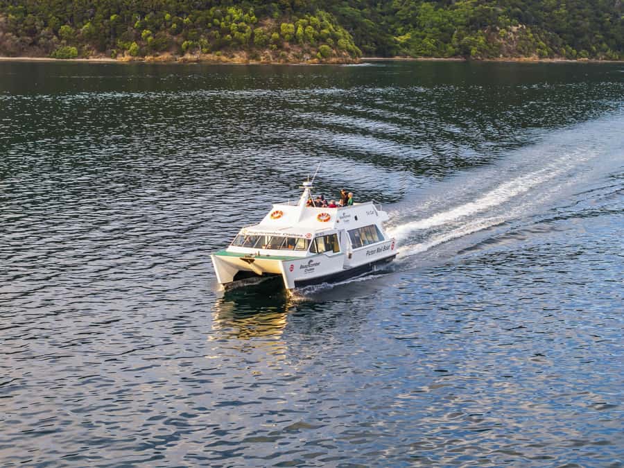 Picton Shore Excursion: Queen Charlotte Sounds Cruise - Wildlife Spotting: Seabirds, Dolphins, and Fish Feeding