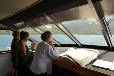 Picton Shore Excursion: Queen Charlotte Sounds Cruise - Cruise Route: What Happens After You Leave Picton