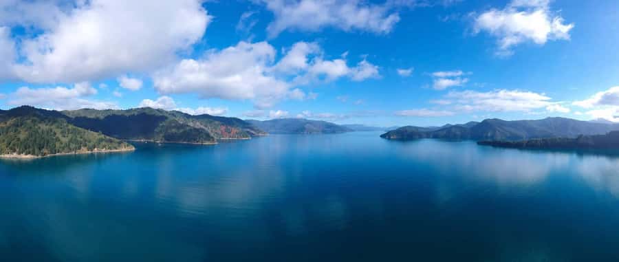 Picton Shore Excursion: Queen Charlotte Sounds Cruise - Should You Book the Queen Charlotte Sounds Cruise?