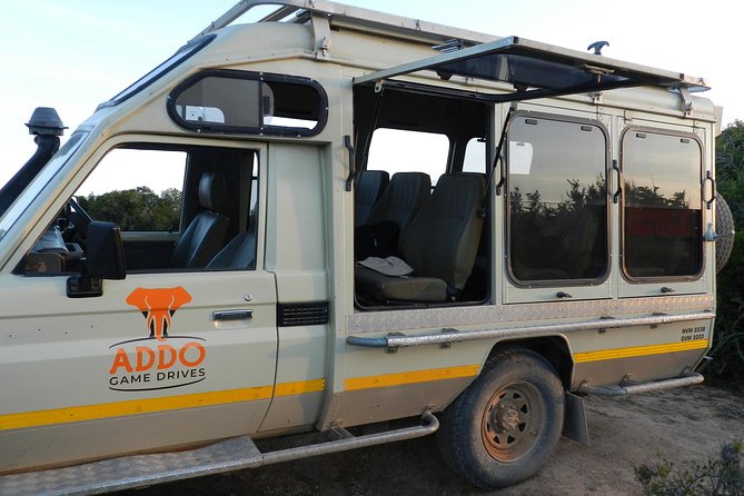 Port Elizabeth Shore Excursion: Addo Elephant Full Day Safari &"Braai"Lunch(BBQ) - Small-group 4x4 comfort: why max 9 travelers helps