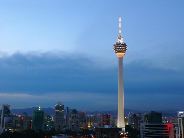 Port Klang Cruise Excursion To KL City Tour (Per Vehicle Price) - Key things that make this KL port tour work