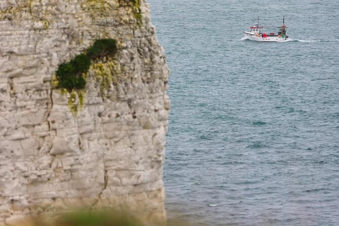 Portland Shore Excursion to Jurassic Coast Highlights - A Jurassic Coast shore day that’s built for real time on port