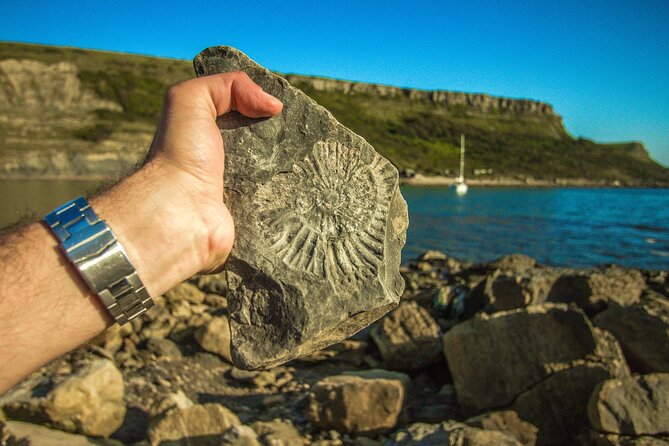Portland Shore Excursion to Jurassic Coast Highlights - What $84.11 gets you (and where the value really shows)