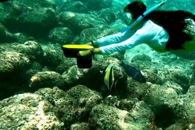 Princeville - Snorkeling Shore Excursion - Anahola Marketplace and the Morning Setup That Gets You Snorkel-Ready