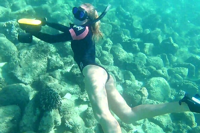 Princeville - Snorkeling Shore Excursion - Gear Included, and the One Detail People Forget