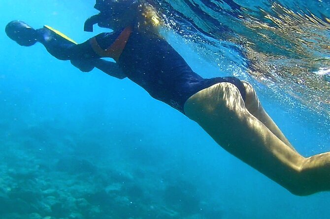 Princeville - Snorkeling Shore Excursion - Who This Works Best For (and Who Might Want Something Else)
