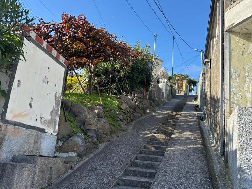Private 4x4 Shore Excursion: Madeira Culture & Trails 4-6H - Levada do Norte to poncha bar: the tastings feel earned, not just scheduled
