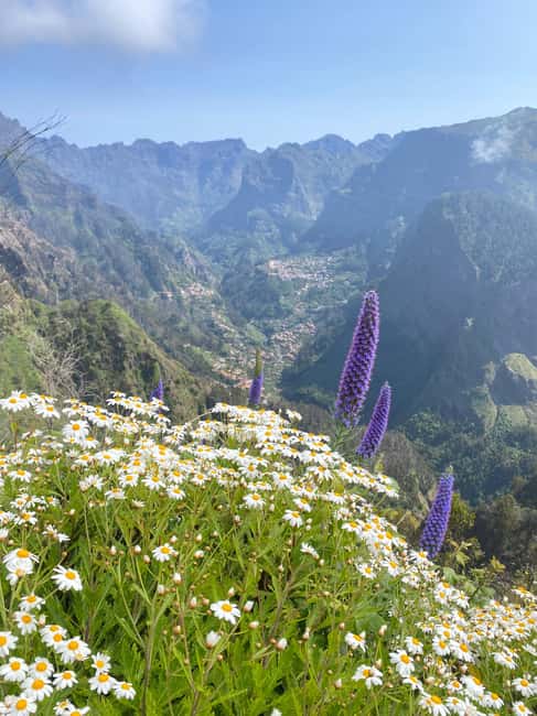Private 4x4 Shore Excursion: Madeira Culture & Trails 4-6H - Practical stuff you’ll want to know before you go