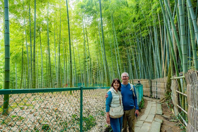 Private Car Tour to KYOTO, OSAKA or NARA | KOBE Shore Excursion - Driver-Guide vs Separate Driver: Pick the Comfort Level