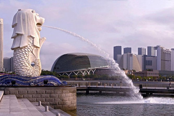 Private Customised Shore Excursion in Singapore By Car - Price and value: is $407.82 per person a good deal?