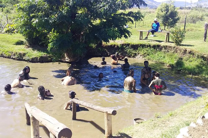 Private Denarau Shore Excursion - Temple, Shopping, Market, Garden & Mud Pool - Key Points You’ll Actually Care About