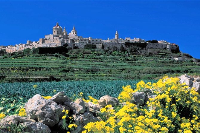 Private guided Malta shore excursion with a professional guide and transport - Driving With a Purpose: How the Air-Conditioned Vehicle Changes the Tour