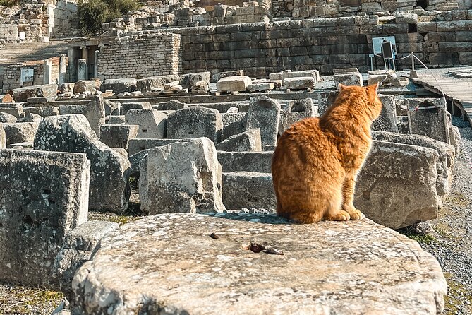 Private Half Day Ephesus Shore Excursion from Kusadasi - Price and what you actually pay for