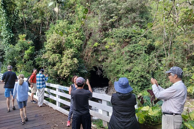 Private Hilo Shore Excursion Volcano National Park up to 10 - Hawaiʻi Volcanoes National Park: mythology, steam vents, fissures, and real geology