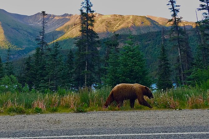 Private luxury shore excursion Skagway, AK to Emerald Lake, Yukon. - What to expect on timing: a 5-hour loop with smart stop blocks
