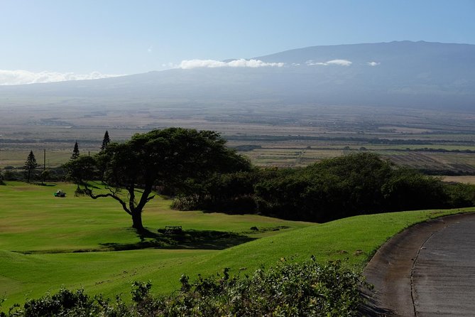 Private Shore Excursion: Best Highlights of Maui - Why this tour stays calm: private pacing and room for your interests