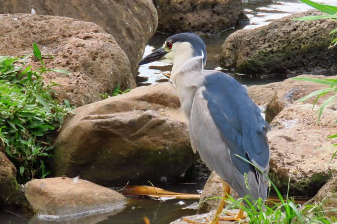Private Shore Excursion: Best Highlights of Maui - What to do with snacks, tickets, and decision points