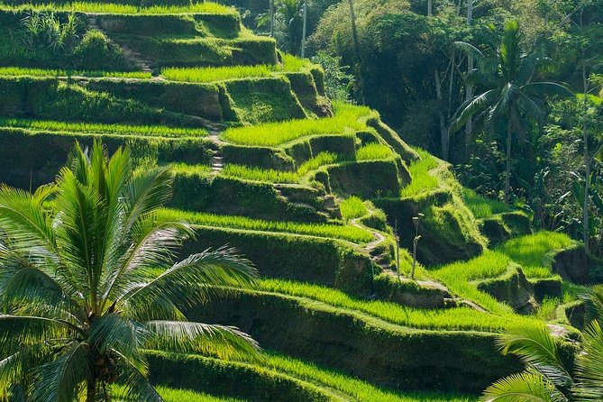 Private Shore Excursion: Customized Best of Bali Tour - Building your custom route: what to choose and how long to stay