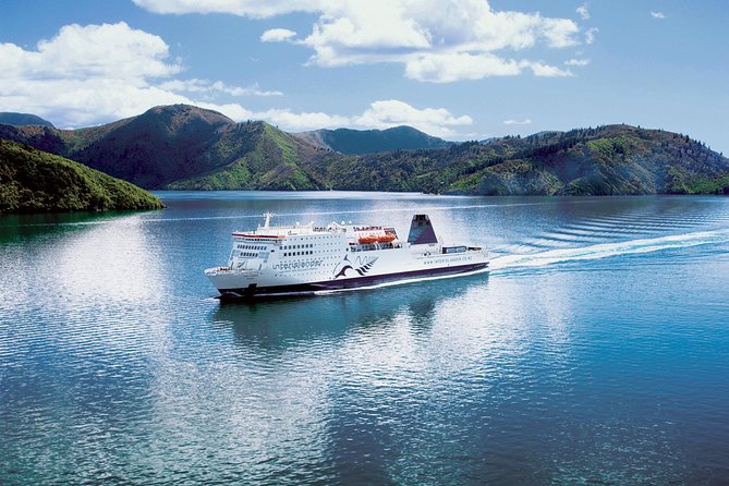 Private Shore Excursion: Explore Marlborough from Picton - The Vines Village: a flexible hangout with gin, beer, and wine matches