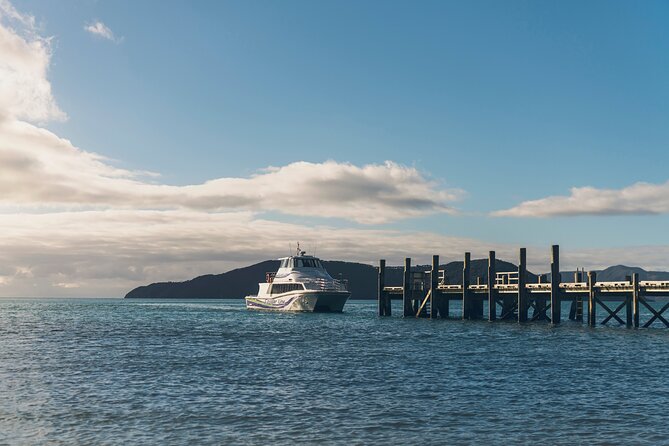 Private Shore Excursion: Explore Marlborough from Picton - Forrest Wines Cellar Door: a family winemaker finish