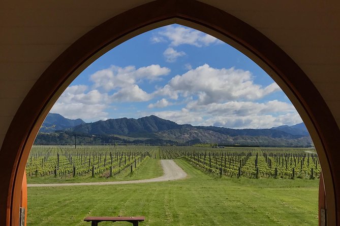 Private Shore Excursion: Explore Marlborough from Picton - Your first stop at Makana Confections: quick, famous chocolate energy