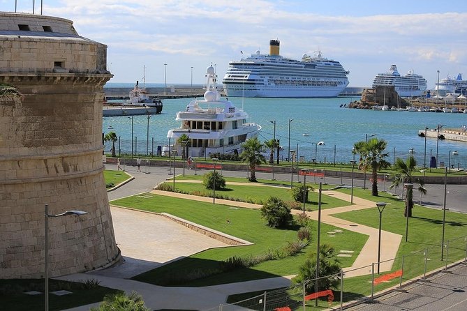 Private Shore Excursion from Civitavecchia Rome Port to Rome and Vatican City - The guides and drivers: what you should pay attention to