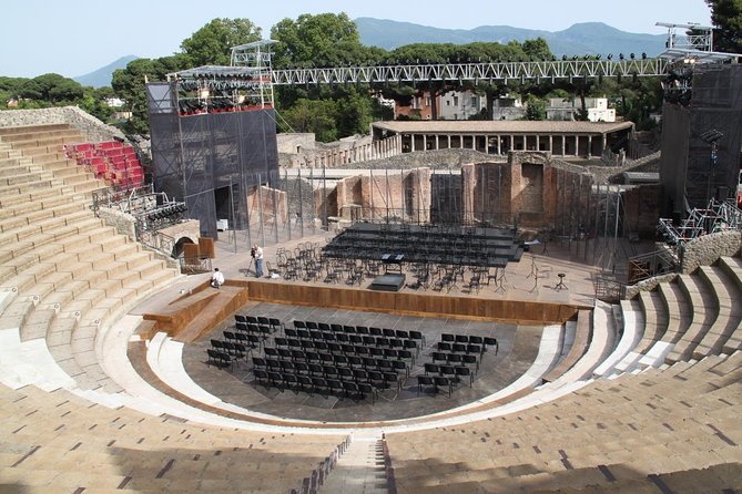 Private Shore Excursion from Naples to Pompeii, Sorrento and Positano - The people who make it: drivers and Pompeii guides you’ll hear about