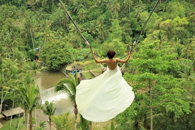 Private Shore Excursion: Highlights of Bali - Price and Value: Is $40 a Fair Deal?