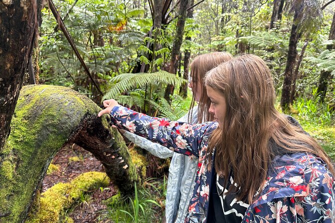 Private Shore Excursion Hilo Volcanoes National Park up to 10 PPL - Stop 2: Thurston Lava Tube (Nahuku) for the wow factor without long mileage
