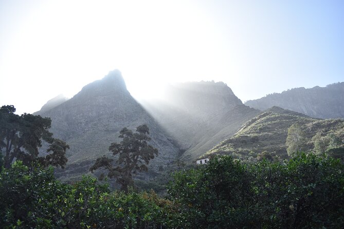 Private Shore Excursion in Gran Canaria - A private shore day in Gran Canaria, sized right