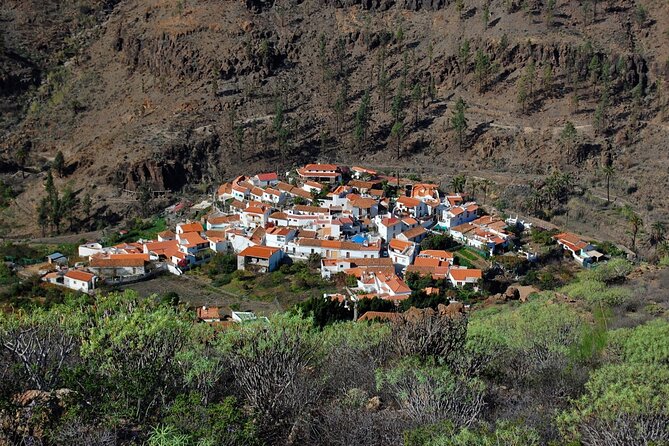 Private shore excursion in Gran Canaria the miniature continent - Key highlights at a glance