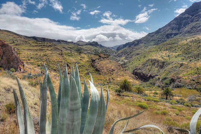 Private shore excursion in Gran Canaria the miniature continent - Mirador Degollada de la Yegua: the south’s canyon-style view