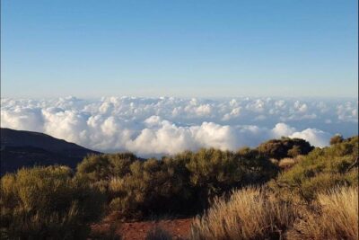 Private Shore Excursion in Tenerife from your Cruise Ship - Teide National Park: 3 hours you can actually use