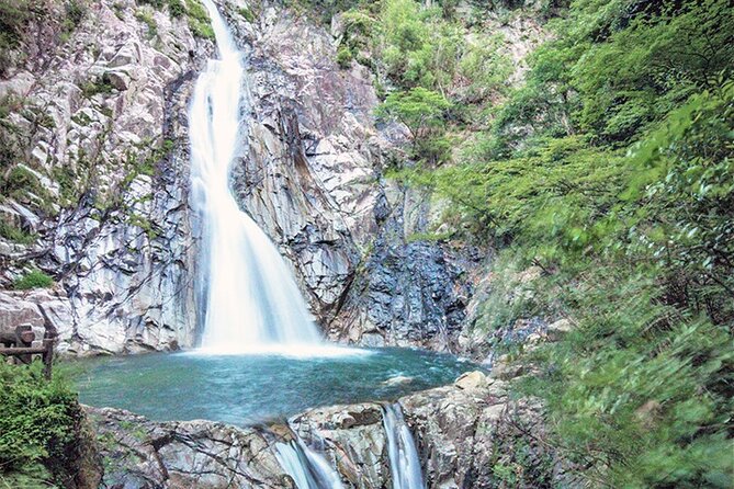 Private Shore Excursion Kobe Port - Best of Kobe with a local - Chinatown, Nankinmachi: step into a different atmosphere