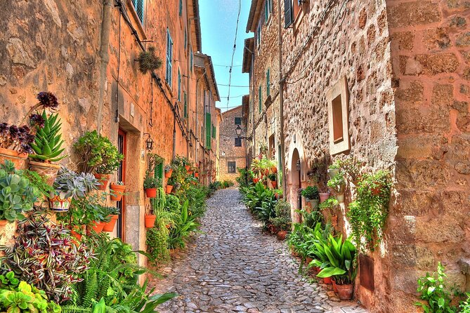 Private Shore Excursion to Valldemossa and Palma de Mallorca - How you’ll transition back to Palma