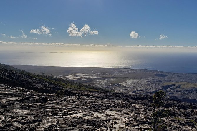 Private Shore Excursion Tour: Hawaii Volcanoes National Park - Key points that make this tour work so well