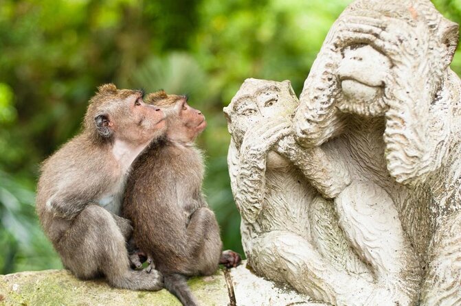 Private Shore Excursion: Ubud Art Villages and Sacred Monkey Forest - Key things to know before you go