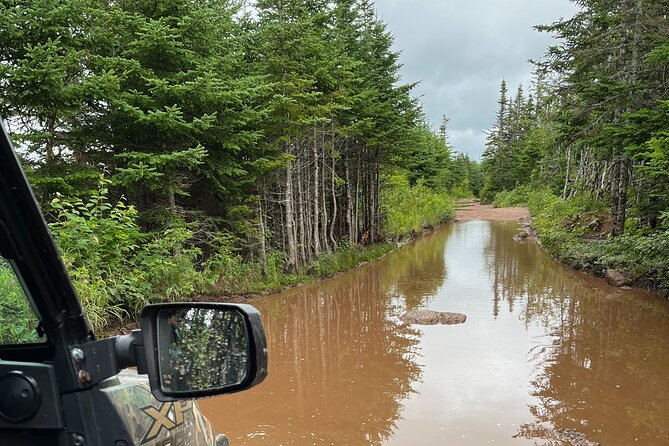 Private Shore Excursion UTV/ATV Side-by-Side Trail Tour - Hunters Mountain backwoods trails: the heart of the day