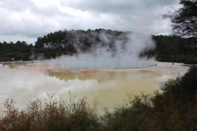 Private Tour Waiotapu Geothermal Shore Excursion up to 8 passengers - How the private minivan changes the pacing