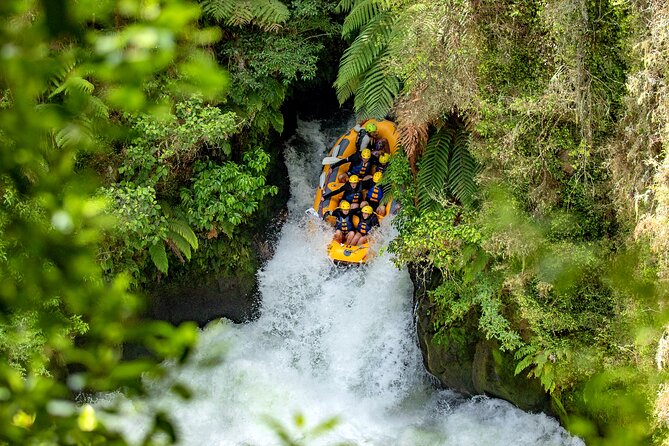 Private Tour Waiotapu Geothermal Shore Excursion up to 8 passengers - Value check: price, private transport, and Waiotapu’s add-on costs
