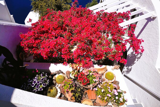 Private Unseen Authentic Santorini Half Day Island Tour - Messaria and Megalochori: old-style village Santorini in the center