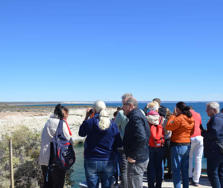 Puerto Madryn: Punta Loma Shore Excursion - The quick Puerto Madryn city tour that sets up the coast
