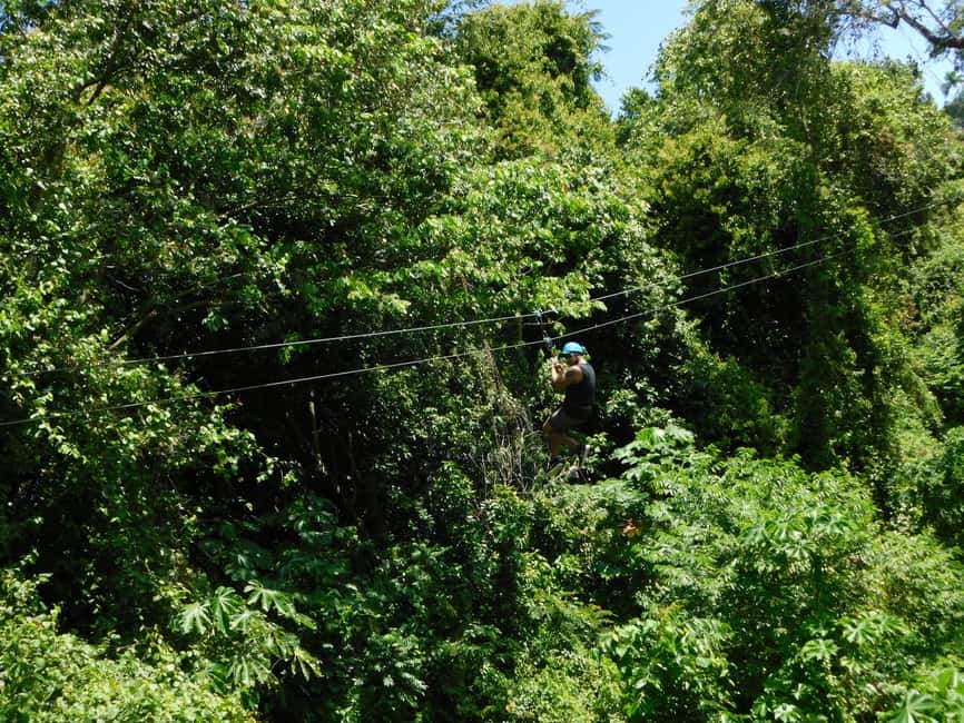 Puerto Plata ATV N Zip Adventure | Shore Excursion & Hotel - Tropical Garden, Parrots, and the Dominican Lunch Break