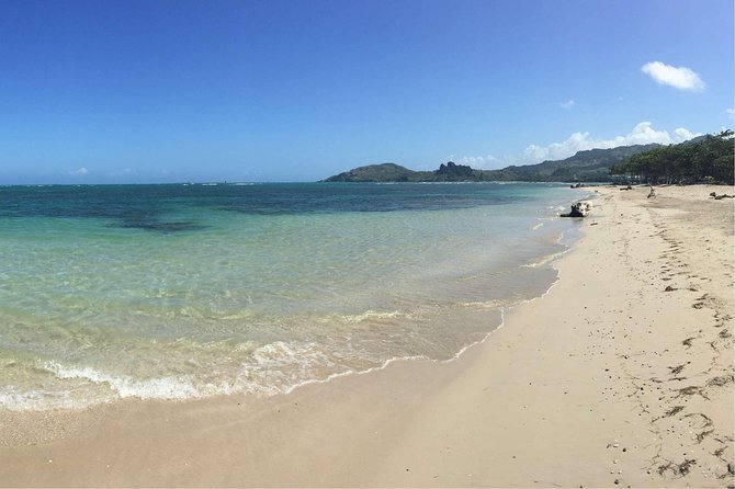 Puerto Plata Shore Excursion: ATV adventure for Amber Cove & Taino Bay Passenger - Quick hits before you go