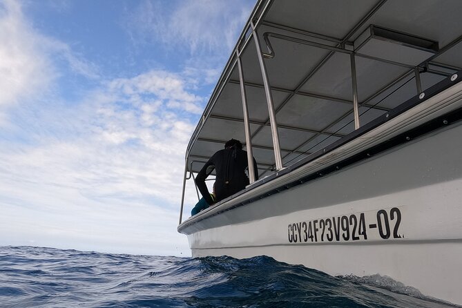Puerto Plata Shore Excursion, Snorkeling tour & Sosua Beach Day - Pickup From Amber Cove and Taino Bay: Getting There Is Half the Day